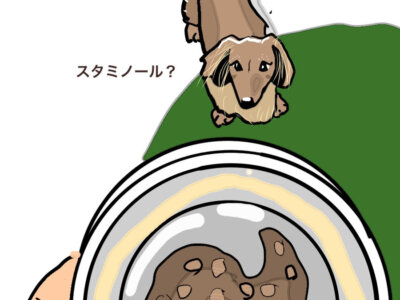 愛犬家さん必見 小食の犬にはスタミノールが救世主 犬との節約二拠点生活 リアルな日常 うちの犬は 鴨 ですが