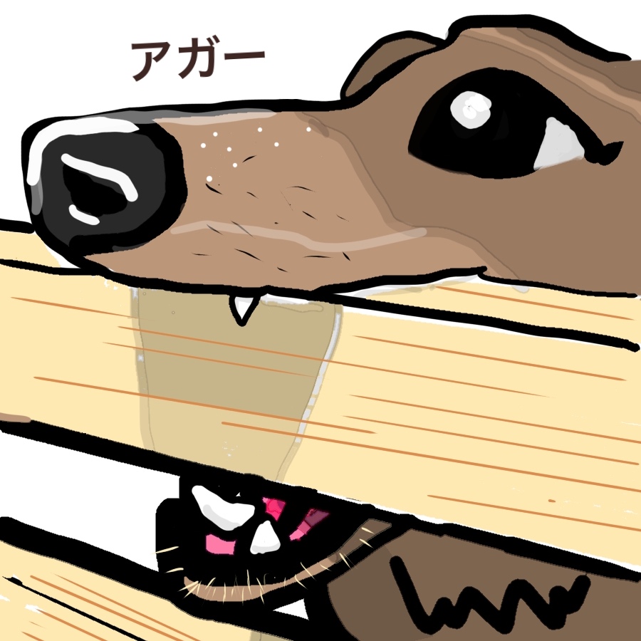 犬が木製ケージを噛んでいるイラスト