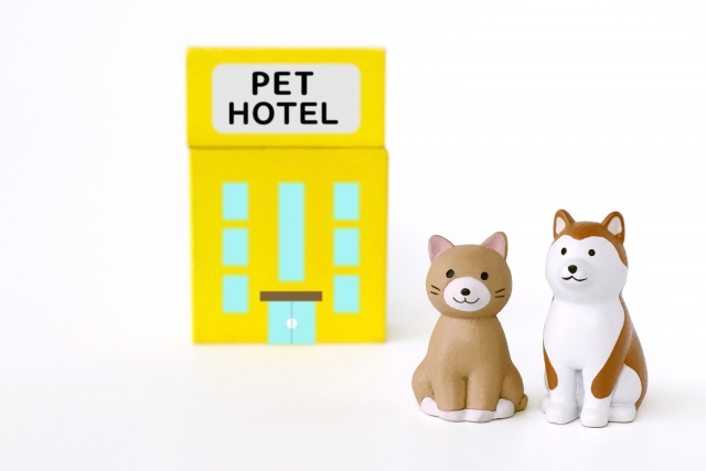 ペットホテルを利用する犬と猫