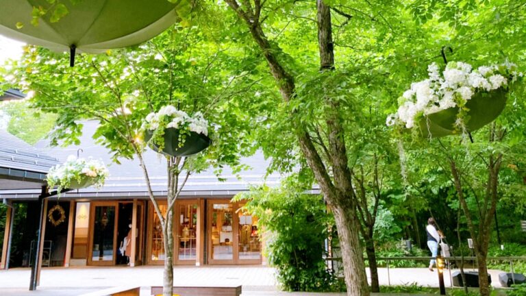 愛犬とオシャレに ハルニレテラス でデートしよう 長野県軽井沢町